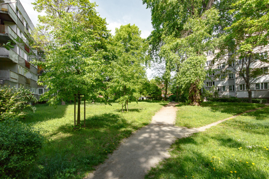 Wrocław, Szczepin, Zielonog&oacute;rska, Po remoncie | 3 pokoje + super układ UKR/ENG/PL