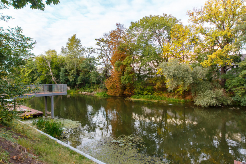 Wrocław, Przedmieście Oławskie, Walońska, Angel Wings &ndash; kawalerka w top lokalizacji UKR/ENG