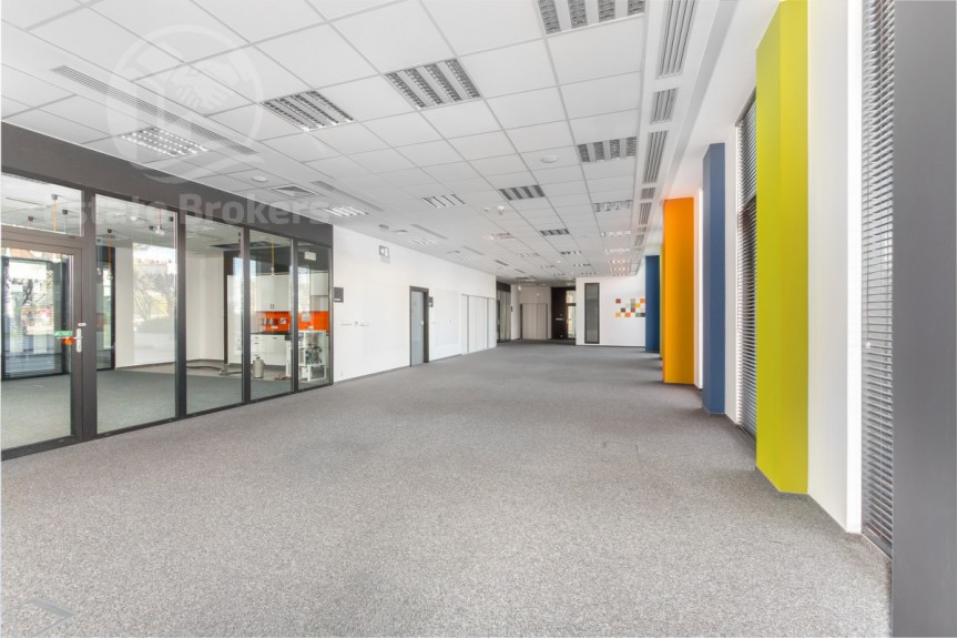 Wrocław, Plac Grunwaldzki, Szczytnicka, Lokal pod działalność edukacyjną i szkoleniową