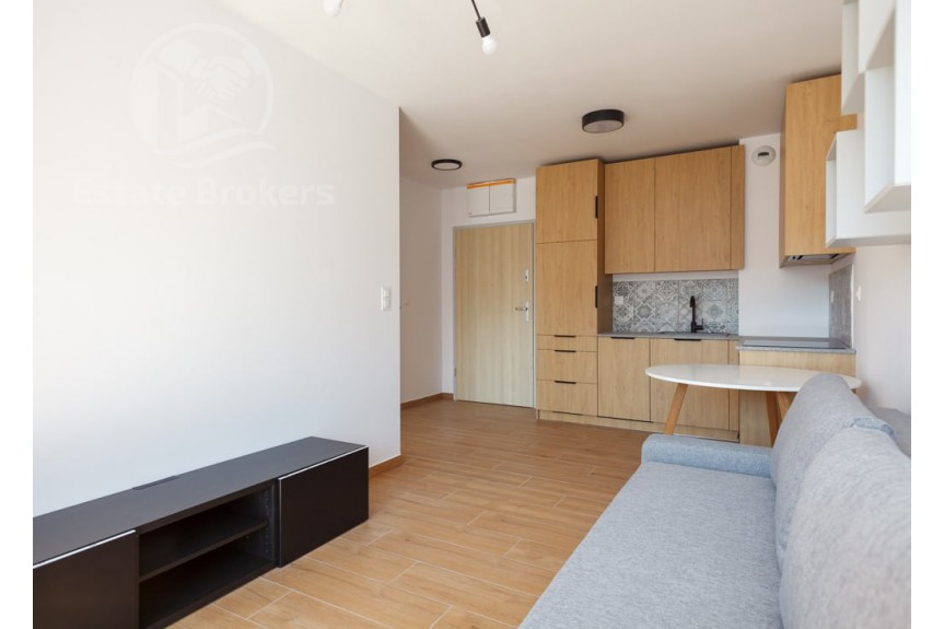 dolnośląskie, Wrocław, Śr&oacute;dmieście, Pomorska, Pets Friendly І 20 min pieszo do Rynku I Okazja