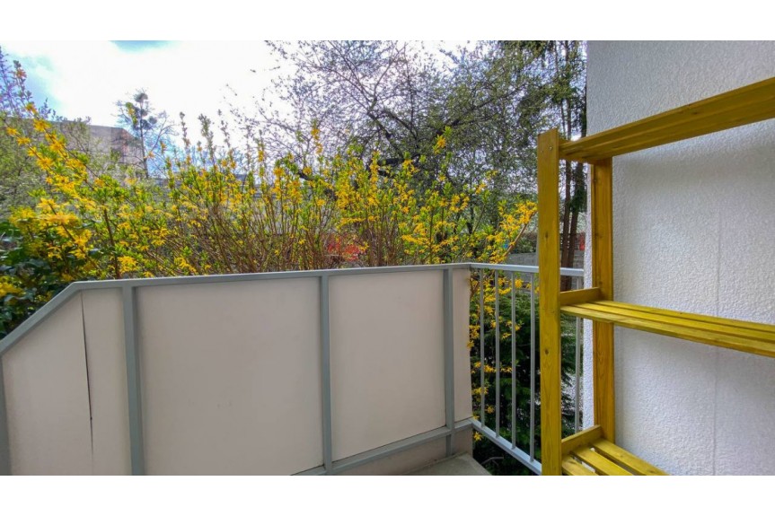 Wrocław, Stare Miasto, Kotlarska, Parterowy lokal z ogr&oacute;dkiem w centrum miasta