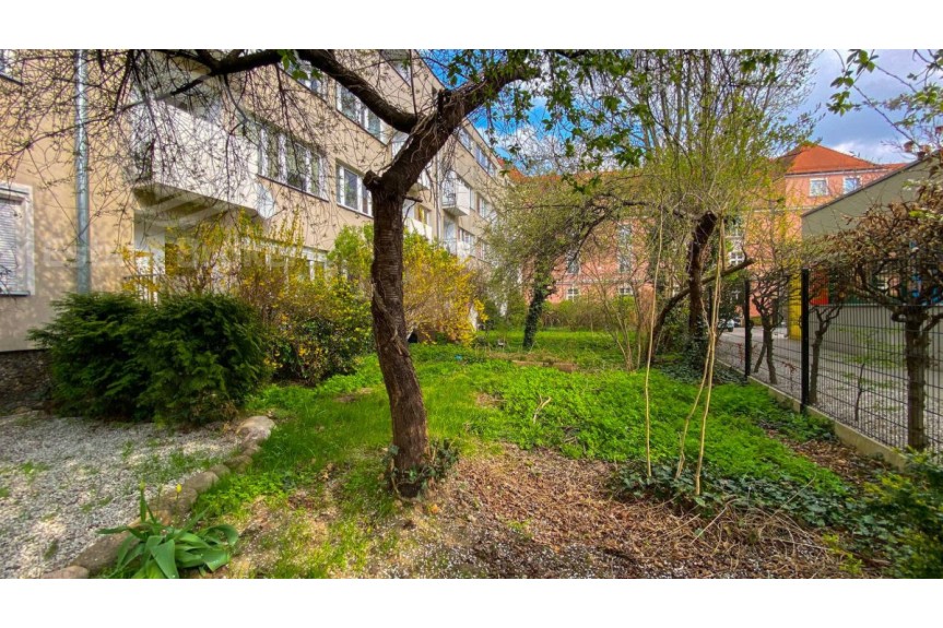 Wrocław, Stare Miasto, Kotlarska, Parterowy lokal z ogr&oacute;dkiem w centrum miasta