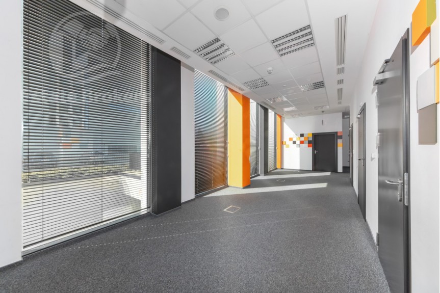 Wrocław, Plac Grunwaldzki, Szczytnicka, Lokal pod działalność edukacyjną i szkoleniową