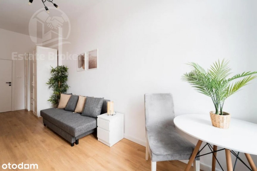 Wrocław, Stare Miasto, Świdnicka, 3 pokoje  Osobna kuchnia  Ściśle centrum