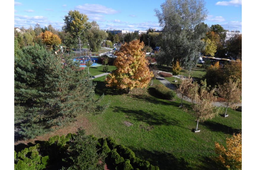 dolnośląskie, Wrocław, Wrocław-Psie Pole, Psie Pole, Kr&oacute;lewska, Dom 270 m&sup2; całkowitej powierzchni