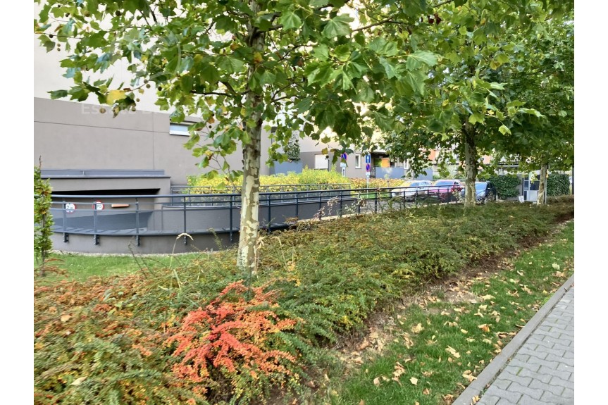 Wrocław, Wrocław-Psie Pole, Psie Pole, Adama Jerzego Czartoryskiego, Dwsutronne mieszkanie z osobną kuchnią PetFriendly